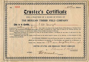 Mexican Timber Field Co.